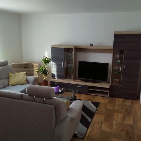 Apartmán Pod Říčkami Rokytnice v Orlickych Horách Exterior foto