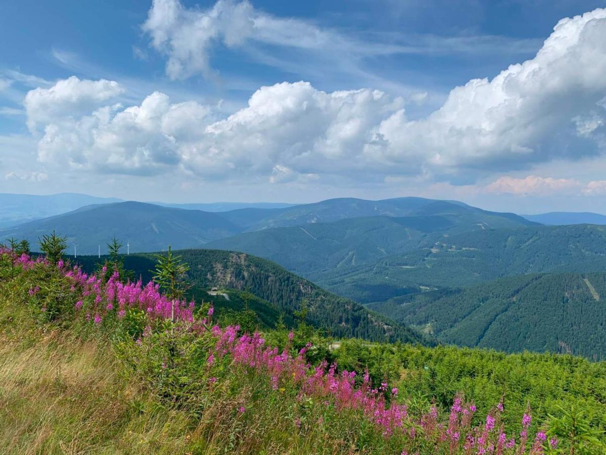 Apartmán Pod Říčkami Rokytnice v Orlickych Horách Exterior foto
